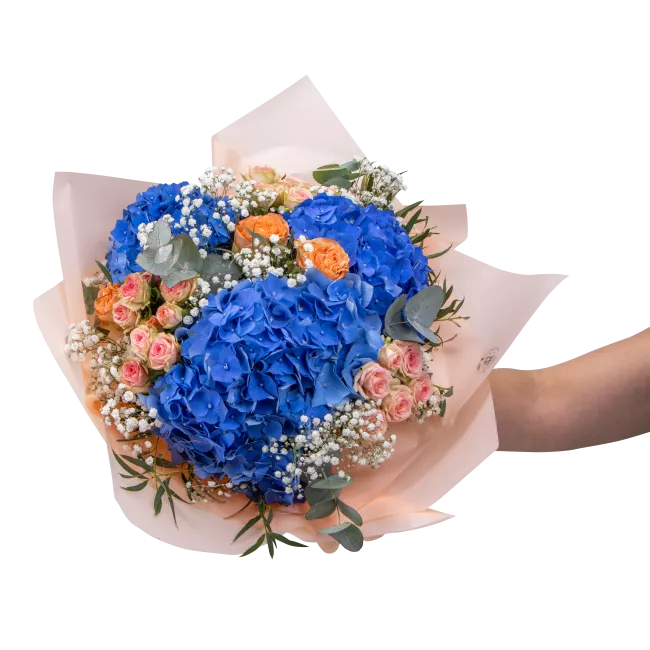 Bouquet of hydrangeas